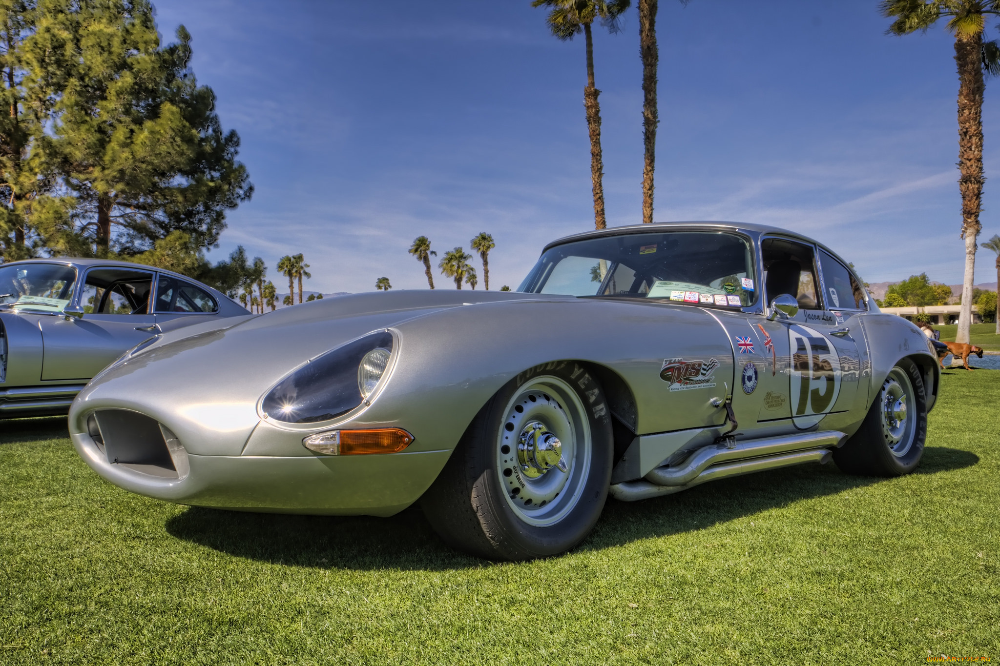 1964 jaguar e-type, ,    , , 
